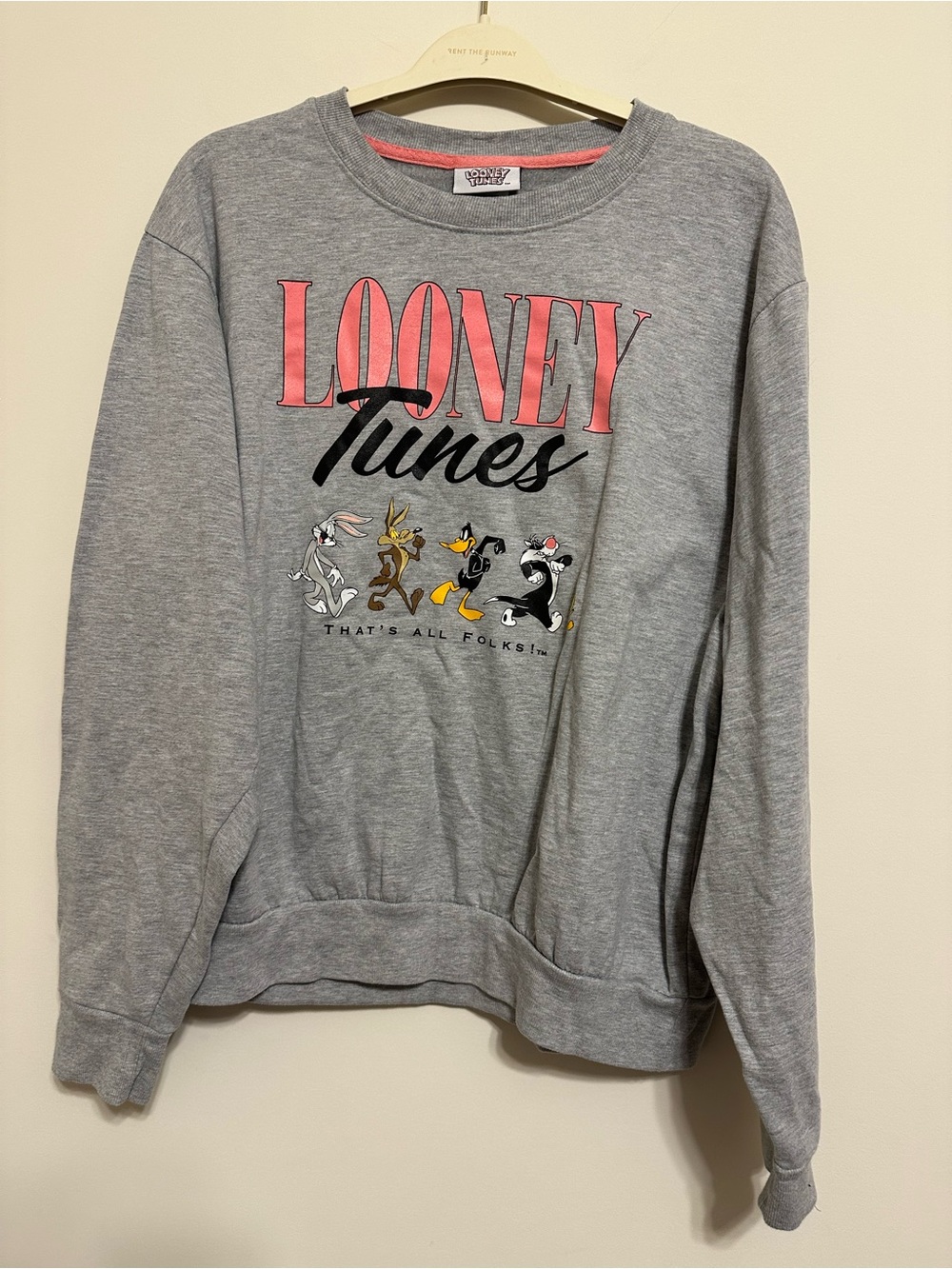 Warner Bros. Looney Tunes Grey Sweatshirt with Pink Trim XXL